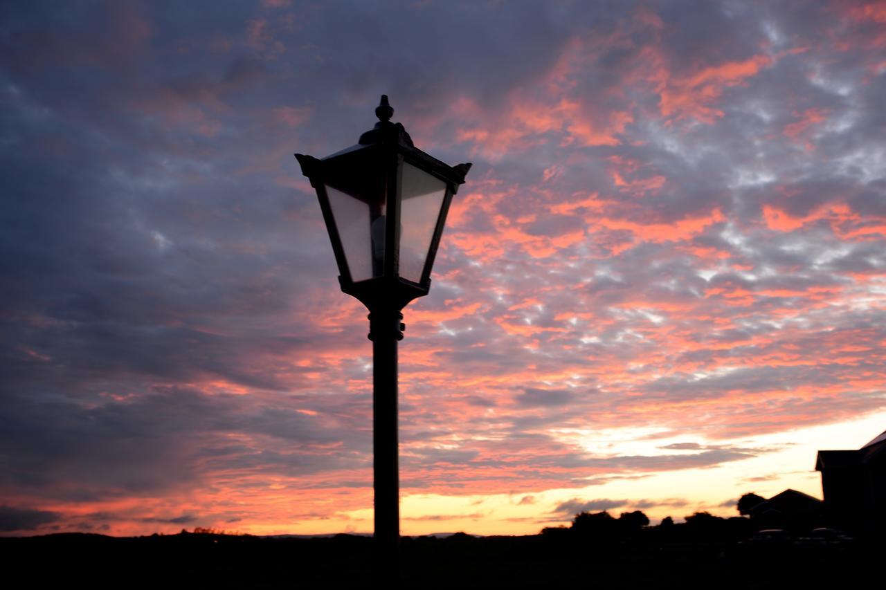 Bunratty Meadows Bed & Breakfast Dış mekan fotoğraf