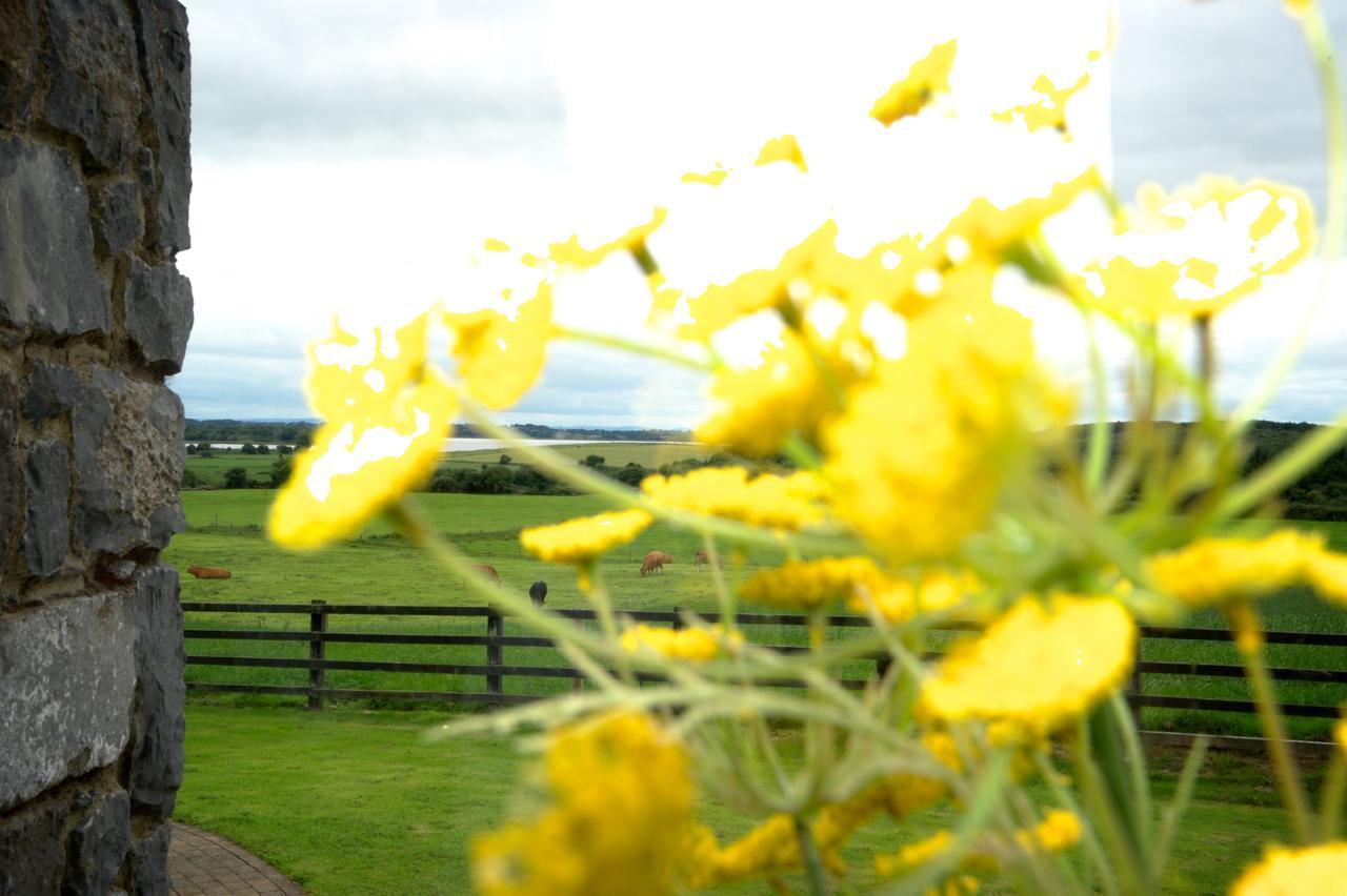 Bunratty Meadows Bed & Breakfast Dış mekan fotoğraf