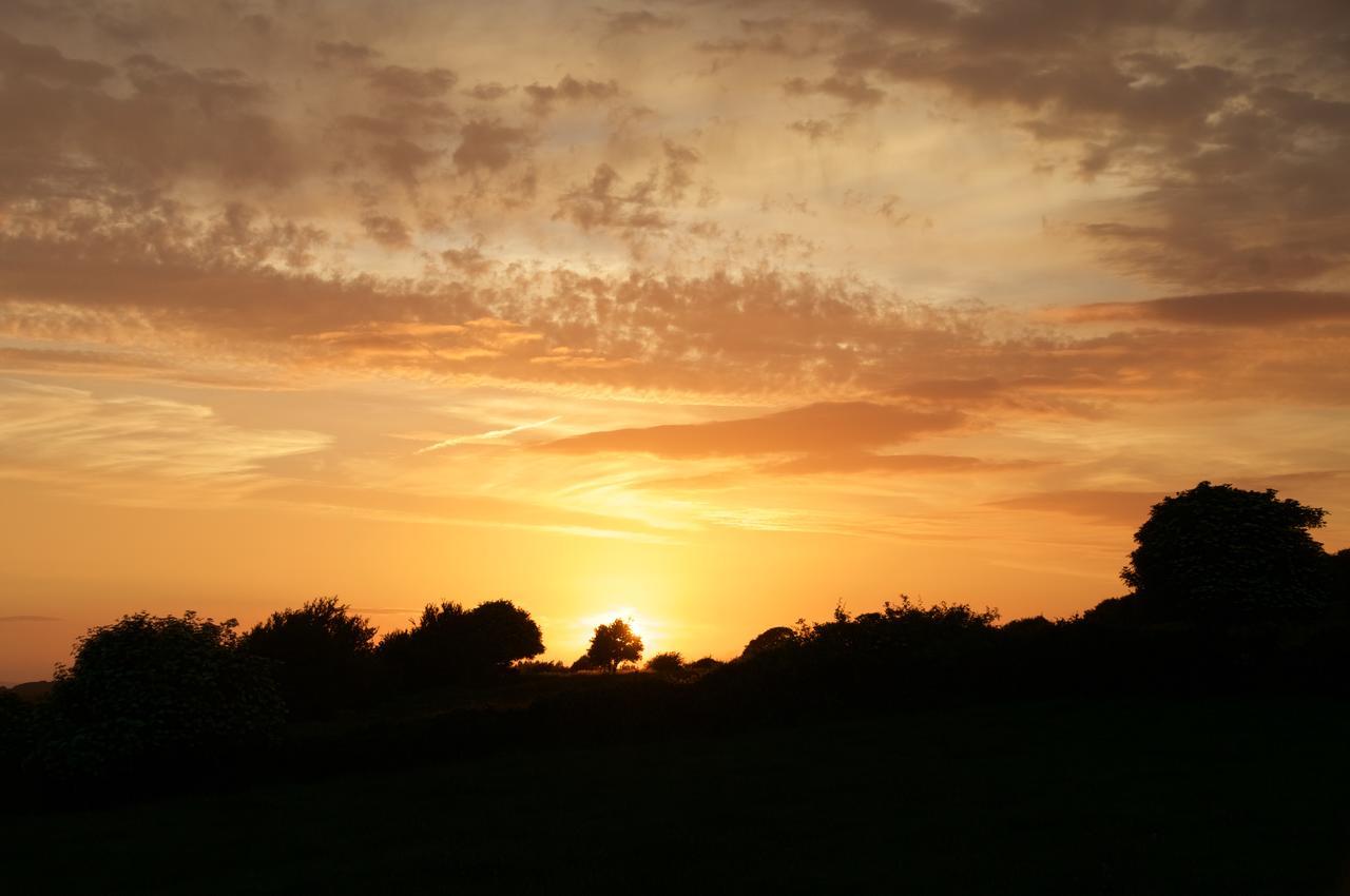 Bunratty Meadows Bed & Breakfast Dış mekan fotoğraf