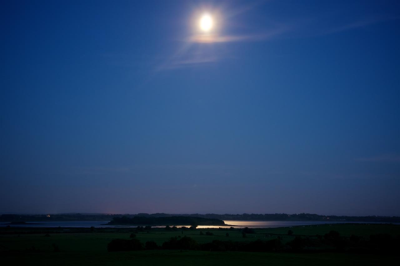 Bunratty Meadows Bed & Breakfast Dış mekan fotoğraf